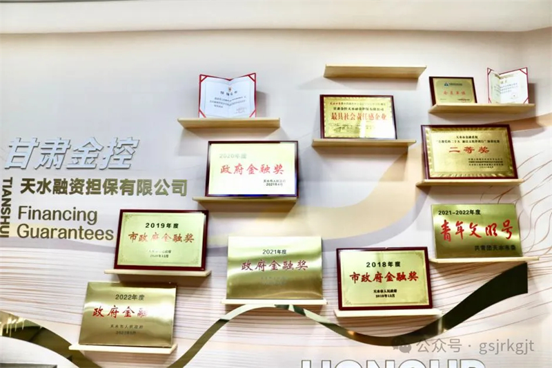 企業(yè)動(dòng)態(tài) | 金控天水擔(dān)保榮獲2023年度“市政府金融獎(jiǎng)”